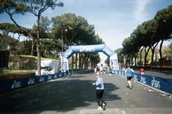 marathon12